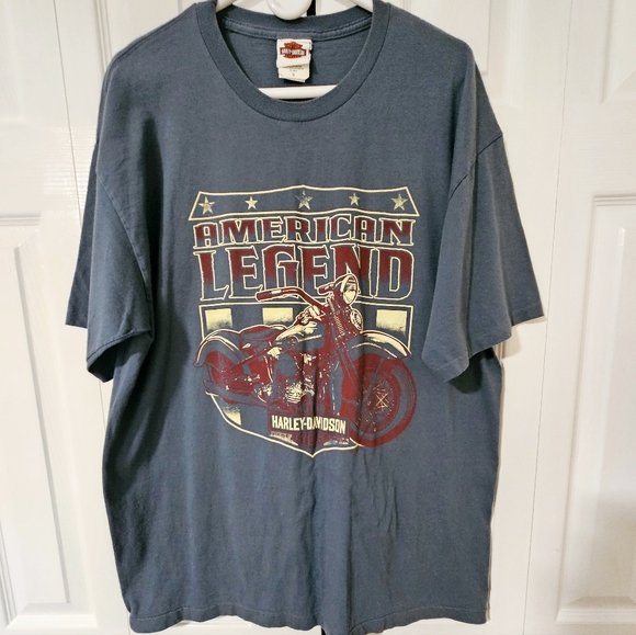 Harley-Davidson Other - Harley-Davidson Blue Graphic T-Shirt for Men